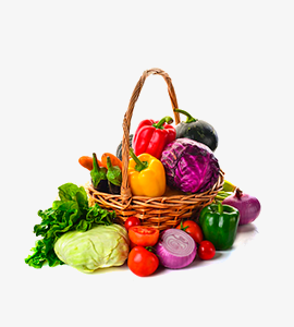 Fresh Vegetables