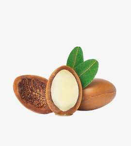 Avacardo